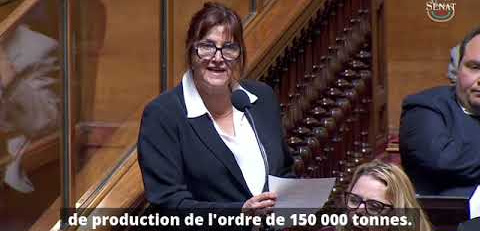 ARC France : l'État mis face à ses responsabilités industrielles