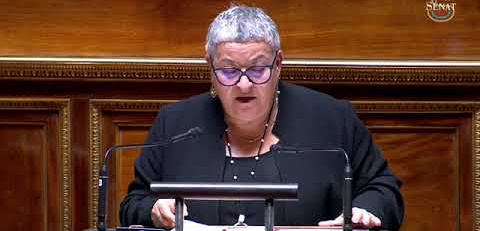 Fraude : "Ce texte criminalise la précarité"